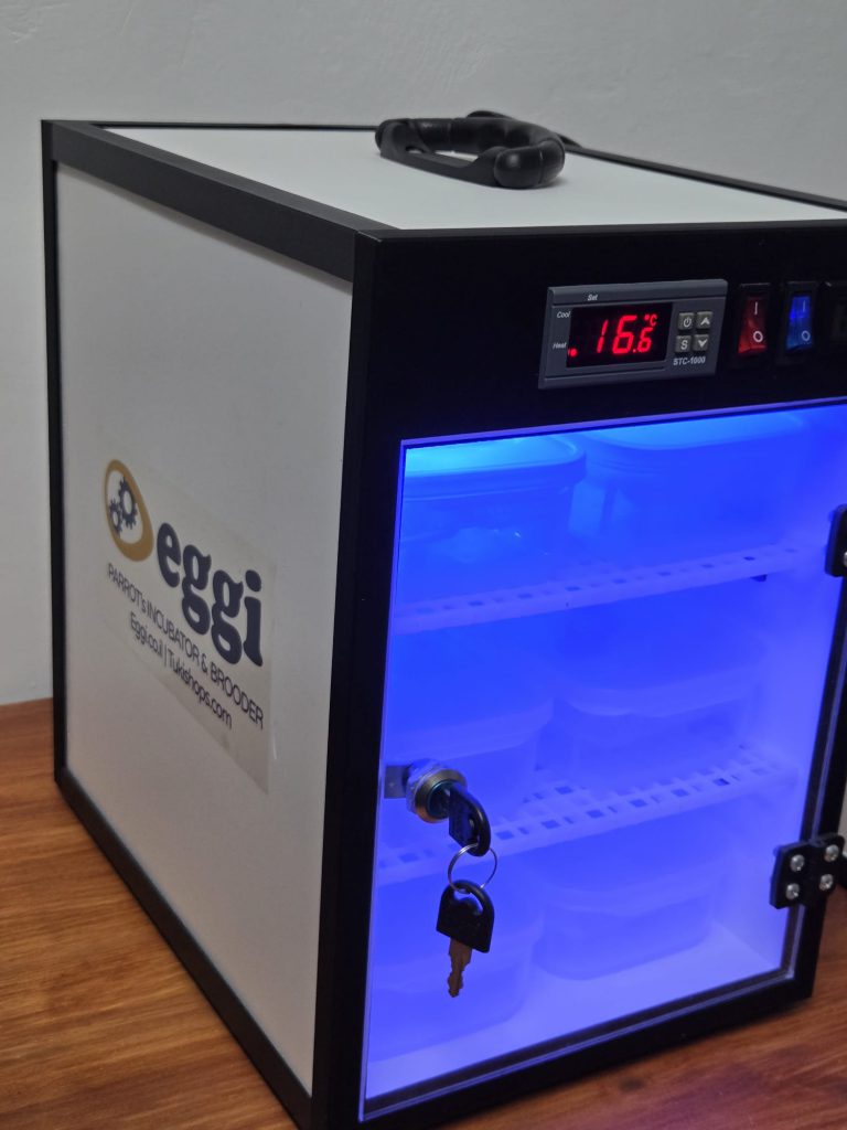 Tukishops – תוכי שופס